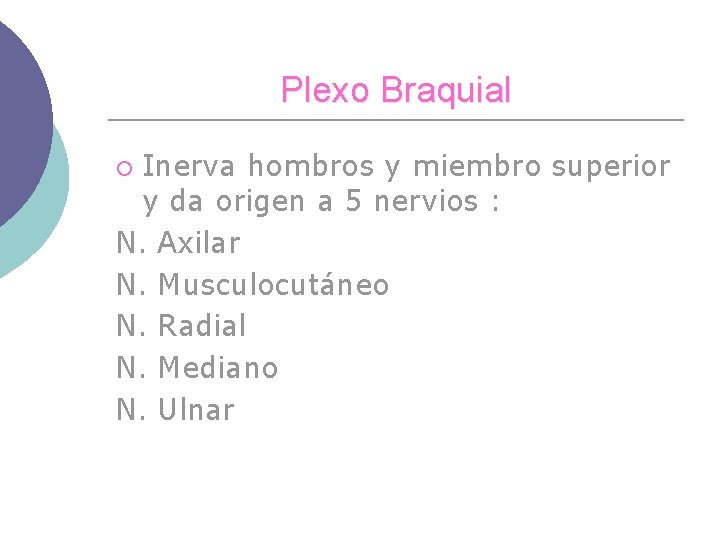 Plexo Braquial Inerva hombros y miembro superior y da origen a 5 nervios :