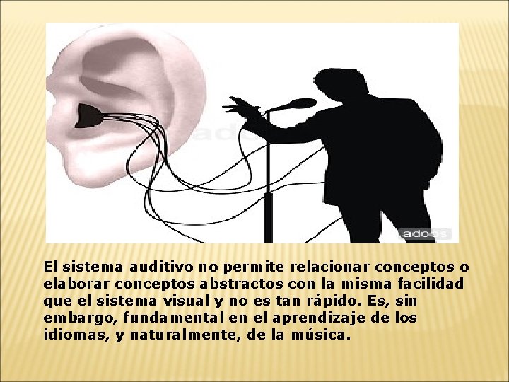 El sistema auditivo no permite relacionar conceptos o elaborar conceptos abstractos con la misma