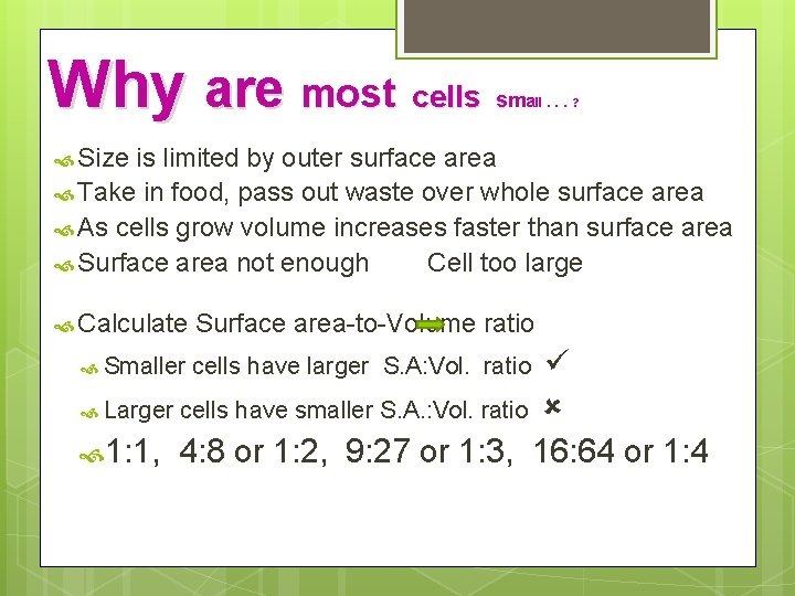 Why are most cells small. . . ? Size is limited by outer surface