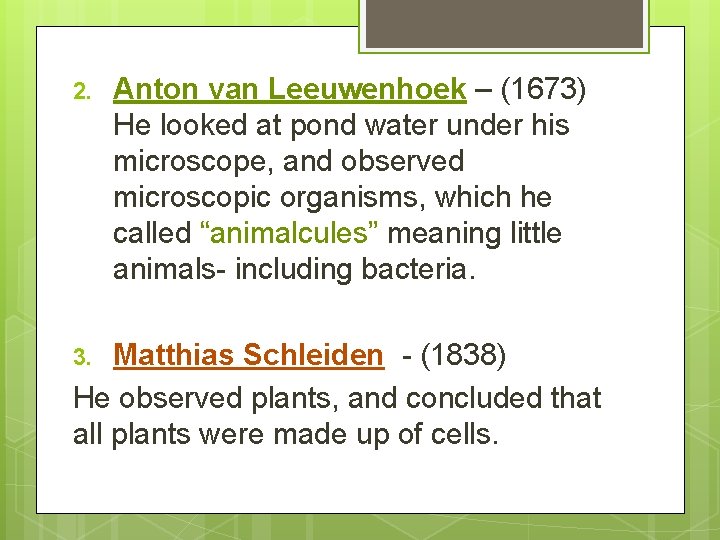 2. Anton van Leeuwenhoek – (1673) He looked at pond water under his microscope,
