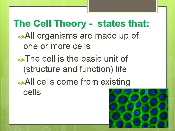 The Cell Theory - states that: All organisms are made up of one or