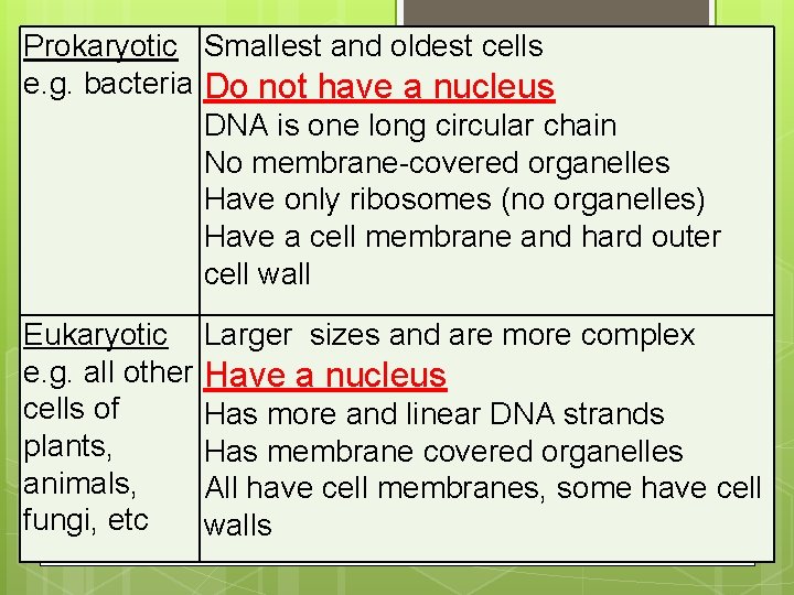 Prokaryotic Smallest and oldest cells e. g. bacteria Do not have a nucleus DNA