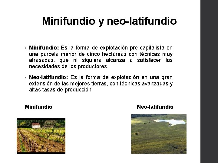 Minifundio y neo-latifundio • Minifundio: Es la forma de explotación pre-capitalista en una parcela