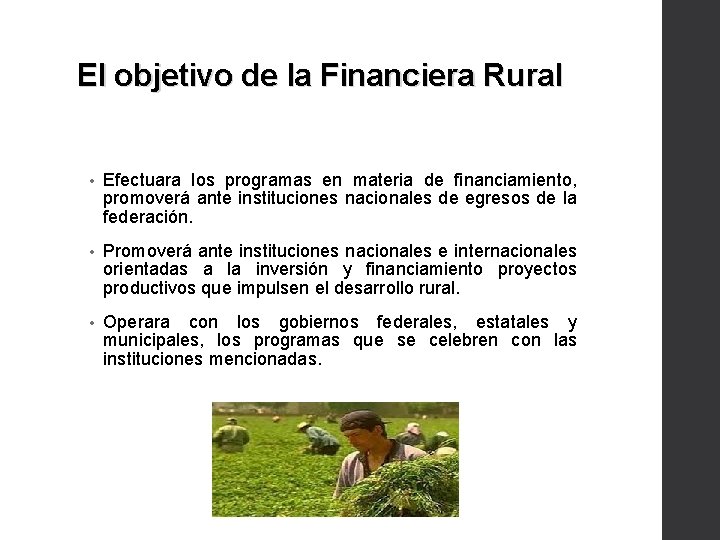 El objetivo de la Financiera Rural • Efectuara los programas en materia de financiamiento,
