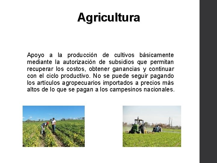 Agricultura Apoyo a la producción de cultivos básicamente mediante la autorización de subsidios que