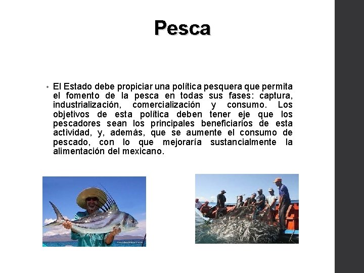 Pesca • El Estado debe propiciar una política pesquera que permita el fomento de