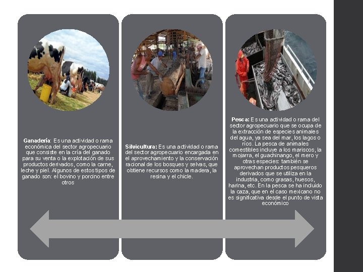 Ganadería: Ganadería Es una actividad o rama económica del sector agropecuario que consiste en