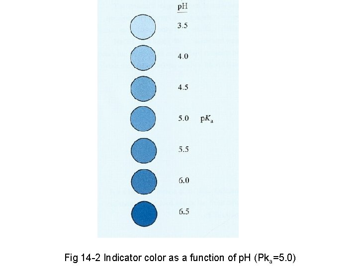 Fig 14 -2 Indicator color as a function of p. H (Pka=5. 0) 
