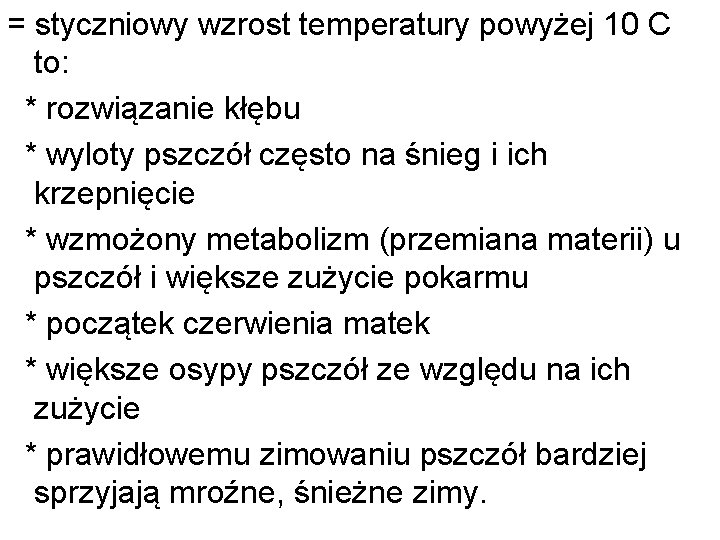 = styczniowy wzrost temperatury powyżej 10 C to: * rozwiązanie kłębu * wyloty pszczół