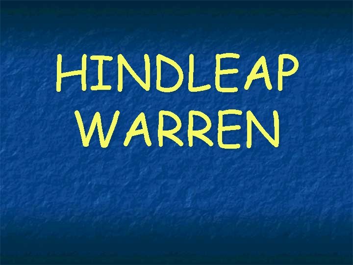 HINDLEAP WARREN 