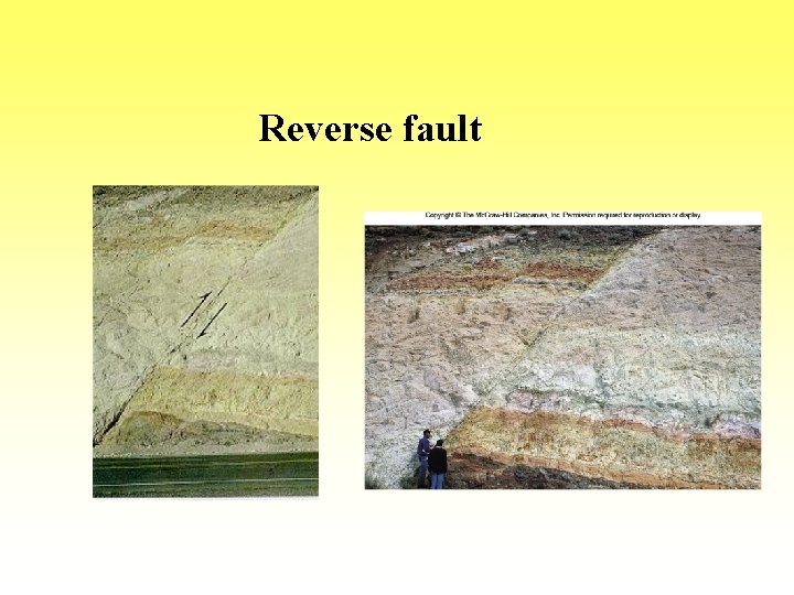 Reverse fault 