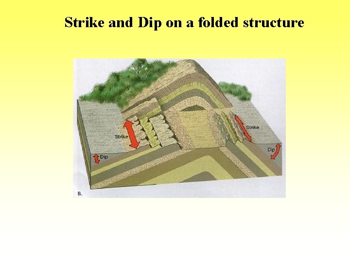 Strike and Dip on a folded structure 