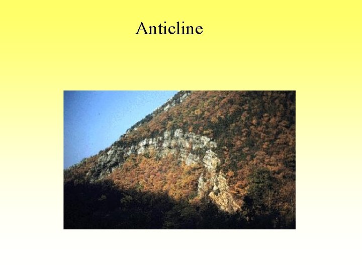 Anticline 