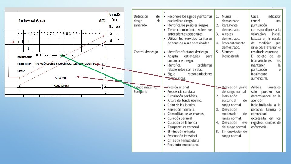 Estado materno puerperio 