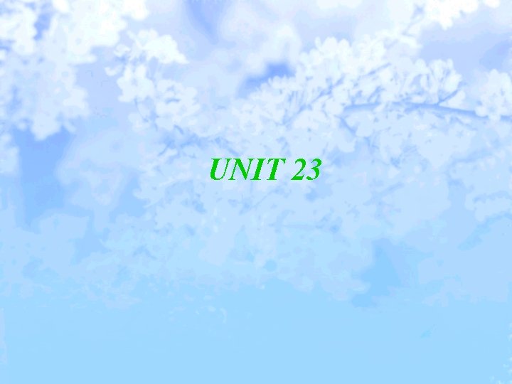 UNIT 23 