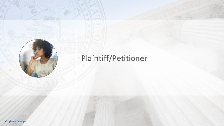 Plaintiff/Petitioner © Tyler Technologies 