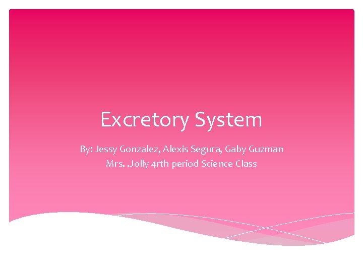 Excretory System By: Jessy Gonzalez, Alexis Segura, Gaby Guzman Mrs. . Jolly 4 rth
