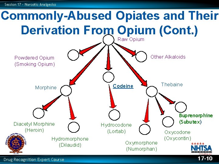 Session 17 – Narcotic Analgesics Commonly-Abused Opiates and Their Derivation From Opium (Cont. )