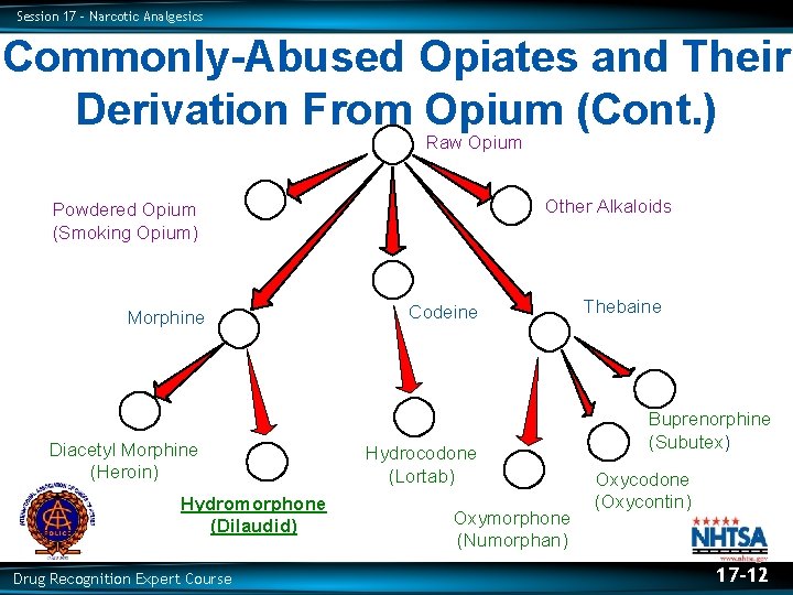 Session 17 – Narcotic Analgesics Commonly-Abused Opiates and Their Derivation From Opium (Cont. )