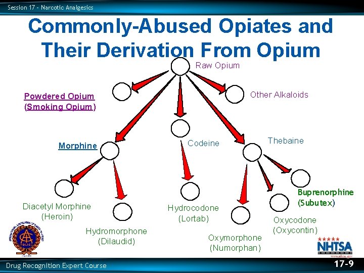 Session 17 – Narcotic Analgesics Commonly-Abused Opiates and Their Derivation From Opium Raw Opium