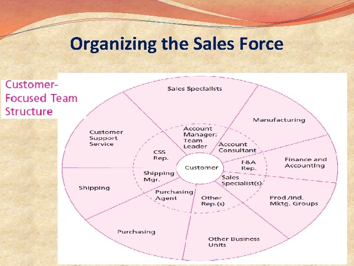 Organizing the Sales Force 