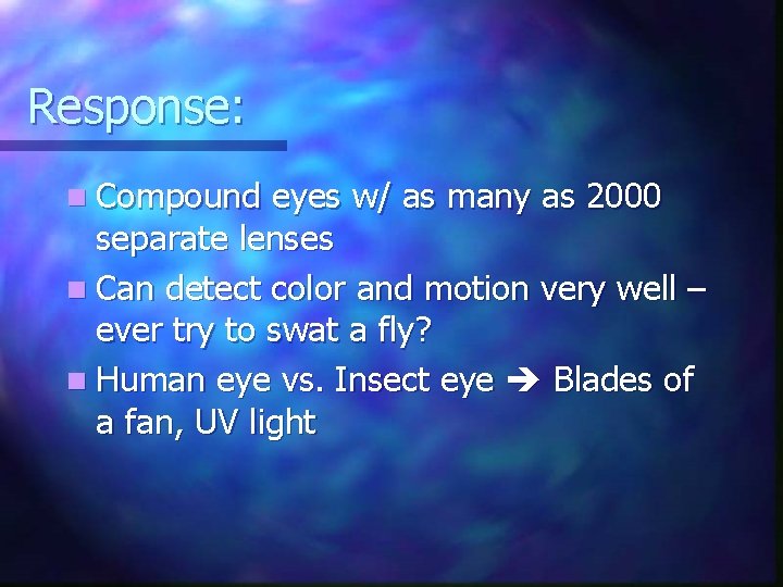 Response: n Compound eyes w/ as many as 2000 separate lenses n Can detect
