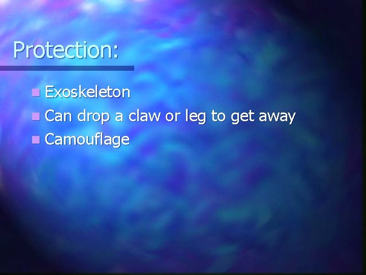 Protection: n Exoskeleton n Can drop a claw or leg to get away n