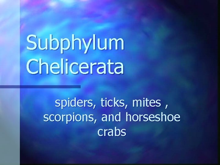 Subphylum Chelicerata spiders, ticks, mites , scorpions, and horseshoe crabs 