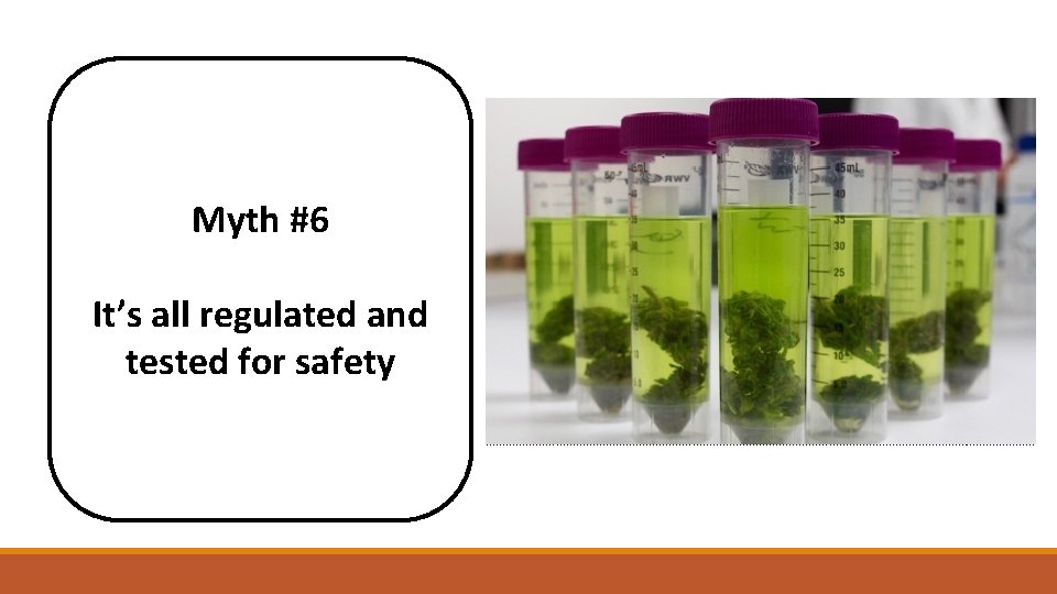 Myth #6 It’s all regulated and tested for safety 