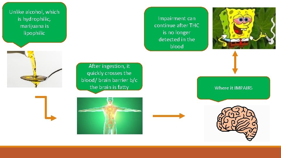 Unlike alcohol, which is hydrophilic, marijuana is lipophilic Impairment can continue after THC is