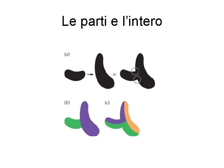 Le parti e l’intero 