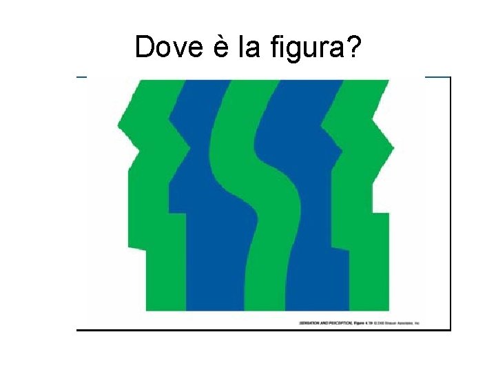 Dove è la figura? 