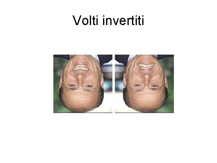 Volti invertiti 