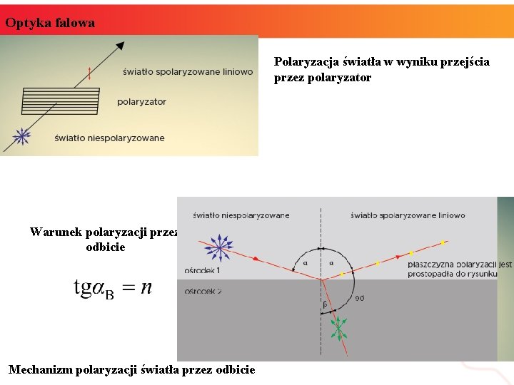 Optyka falowa Polaryzacja światła w wyniku przejścia przez polaryzator Warunek polaryzacji przez odbicie Mechanizm