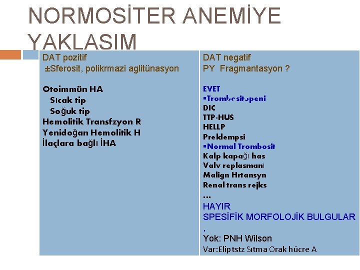 NORMOSİTER ANEMİYE YAKLAŞIM DAT pozitif DAT negatif ±Sferosit, polikrmazi aglitünasyon PY Fragmantasyon ? Otoimmün