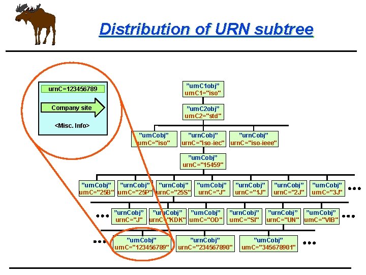 Distribution of URN subtree ”urn. C 1 obj” urn. C 1="iso" urn. C=123456789 Company
