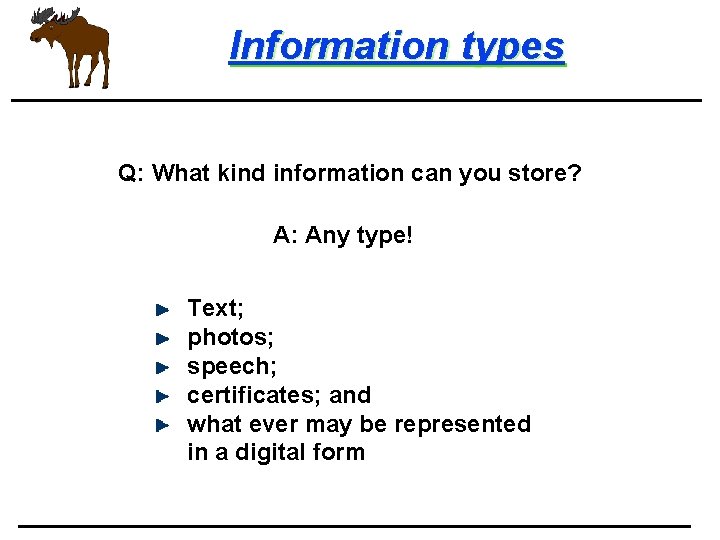 Information types Q: What kind information can you store? A: Any type! Text; photos;