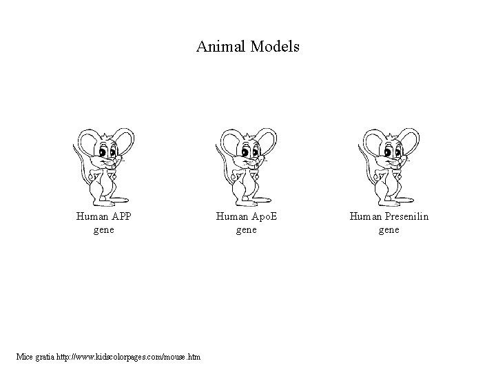 Animal Models Human APP gene Mice gratia http: //www. kidscolorpages. com/mouse. htm Human Apo.