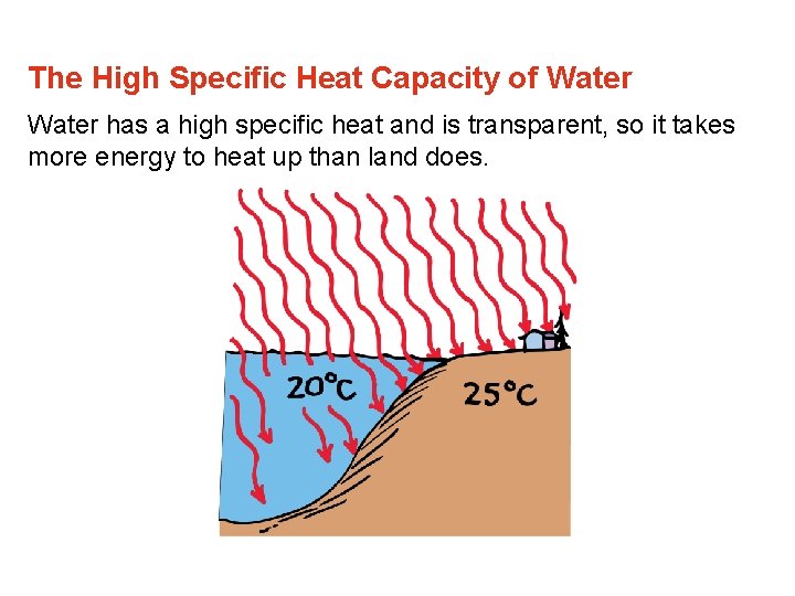 The High Specific Heat Capacity of Water has a high specific heat and is The High Specific Heat Capacity of Water has a high specific heat and is