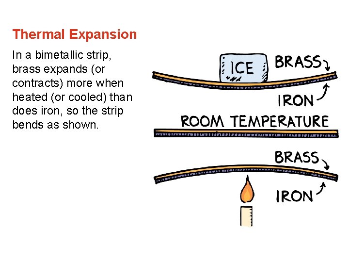 Thermal Expansion In a bimetallic strip, brass expands (or contracts) more when heated (or Thermal Expansion In a bimetallic strip, brass expands (or contracts) more when heated (or