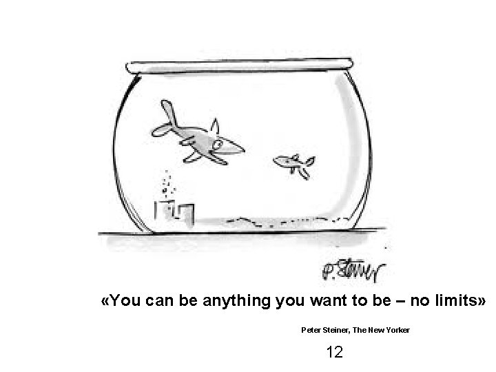  «You can be anything you want to be – no limits» Peter Steiner,