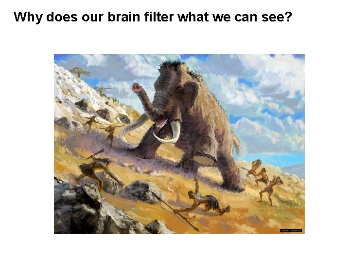 Why does our brain filter what we can see? 