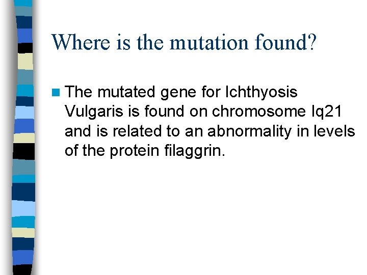 Where is the mutation found? n The mutated gene for Ichthyosis Vulgaris is found Where is the mutation found? n The mutated gene for Ichthyosis Vulgaris is found