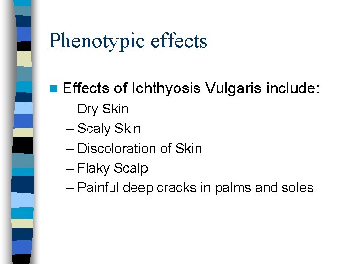 Phenotypic effects n Effects of Ichthyosis Vulgaris include: – Dry Skin – Scaly Skin