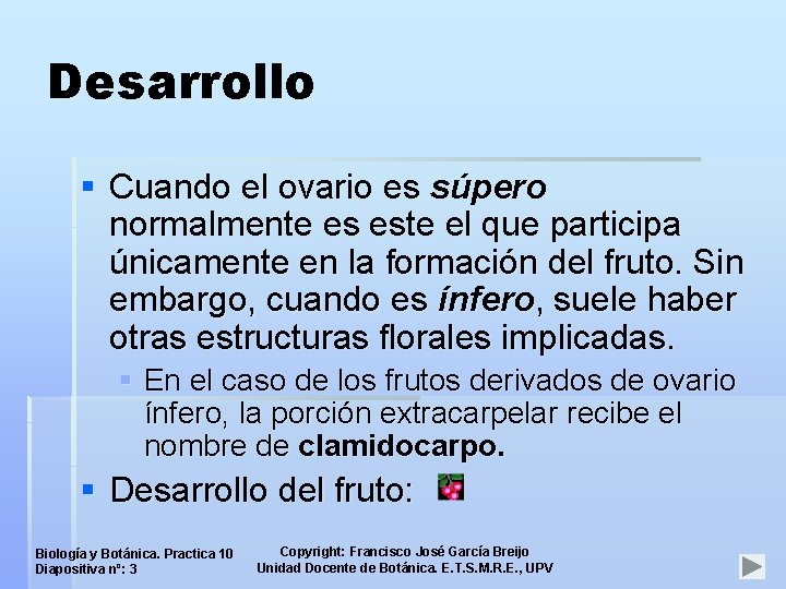 Desarrollo § Cuando el ovario es súpero normalmente es este el que participa únicamente