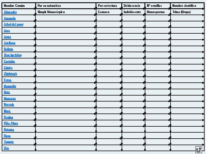 Nombre Común Por su naturaleza Por su textura Dehiscencia Nº semillas Nombre científico Almendra
