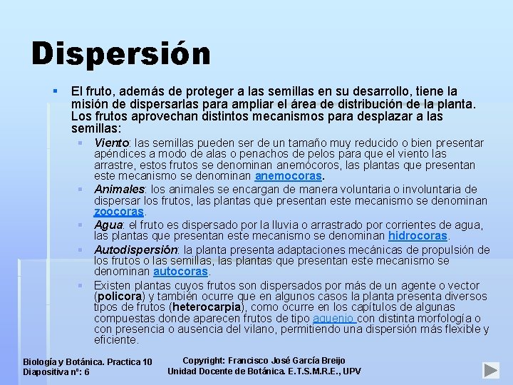 Dispersión § El fruto, además de proteger a las semillas en su desarrollo, tiene