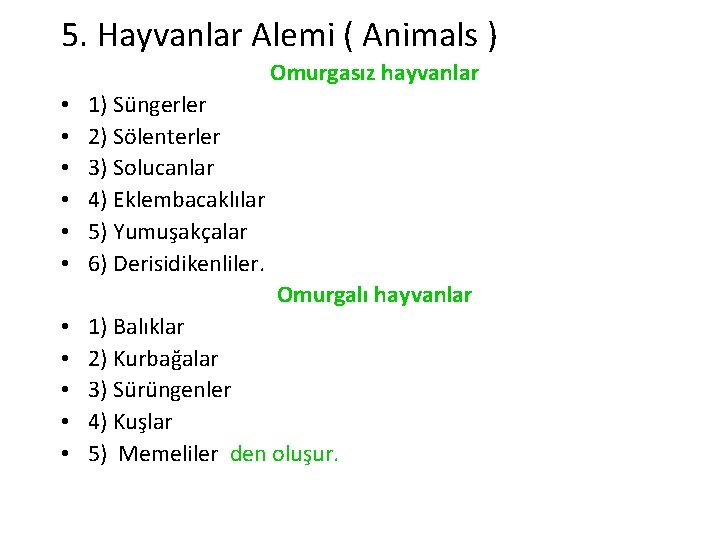 5. Hayvanlar Alemi ( Animals ) Omurgasız hayvanlar • • • 1) Süngerler 2)
