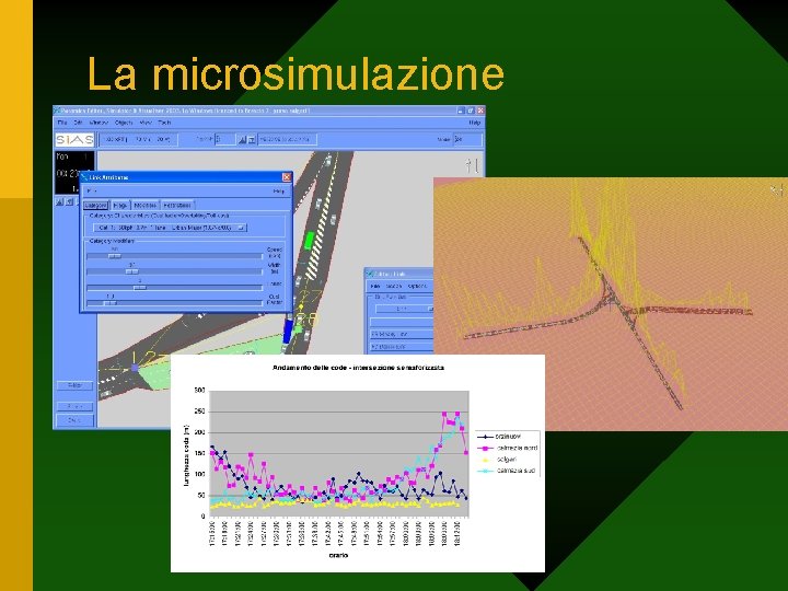 La microsimulazione 