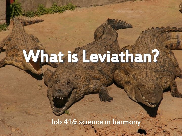 What is Leviathan? Job 41& science in harmony 